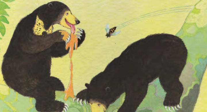 bears eating honey
